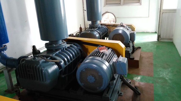 羅茨鼓風(fēng)機(jī)的常見故障及維修 羅茨鼓風(fēng)機(jī)的常見故障及維修