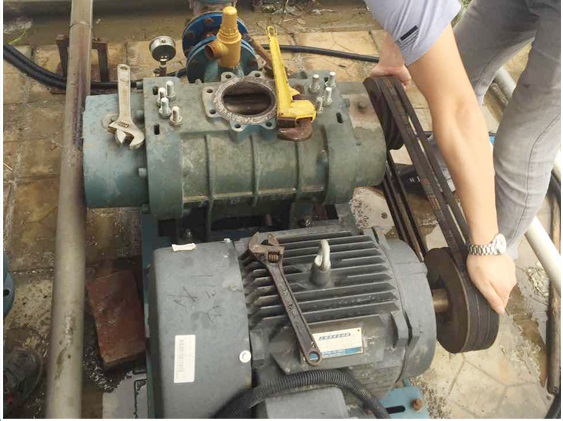 1635299552154842.jpg 1-210106142935U1.jpg