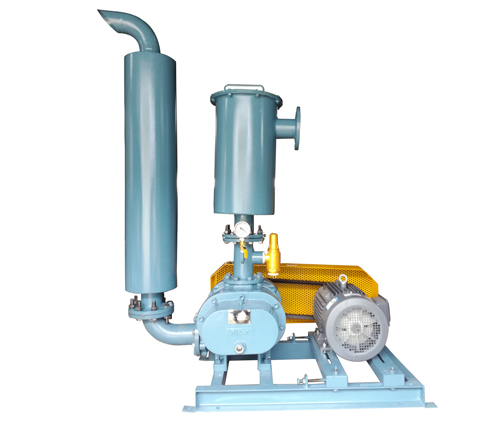 真空羅茨風(fēng)機(jī)