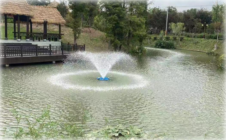 RZ-21-FDS增氧機(jī)效果實(shí)拍 RZ-21-FDS增氧機(jī)效果實(shí)拍