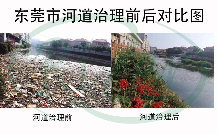 河道生態(tài)治理生態(tài)浮島技術(shù) 河道生態(tài)治理生態(tài)浮島技術(shù)