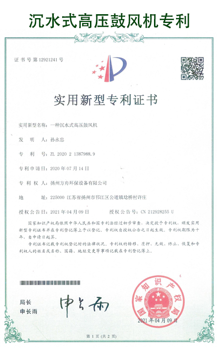 瑞柘沉水式高壓鼓風(fēng)機(jī)**