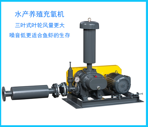 羅茨風(fēng)機(jī)增氧 羅茨風(fēng)機(jī)增氧