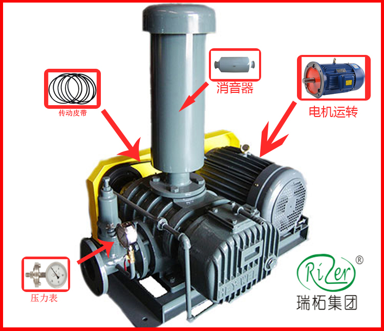 瑞柘羅茨風(fēng)機(jī)結(jié)構(gòu)簡易分解圖
