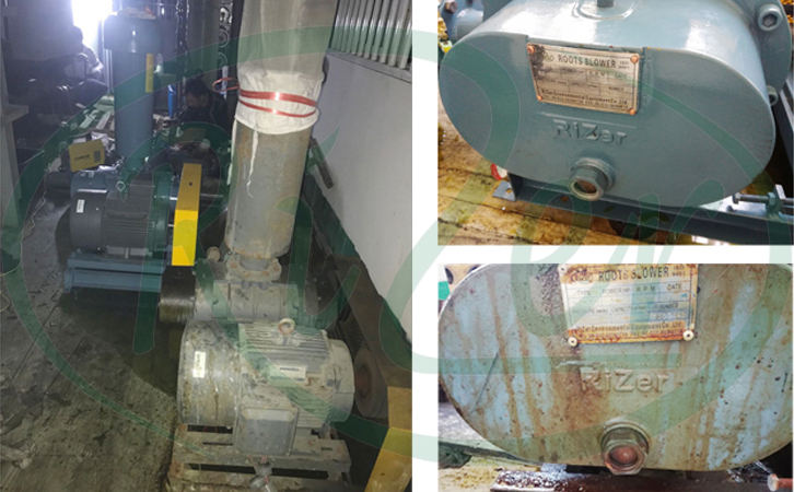 羅茨鼓風(fēng)機(jī) 羅茨鼓風(fēng)機(jī)