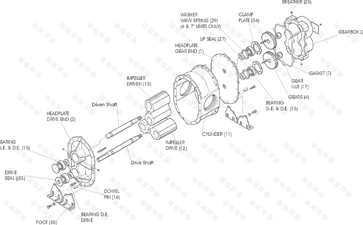 羅茨鼓風機詳細結構拆解圖 羅茨鼓風機詳細結構拆解圖