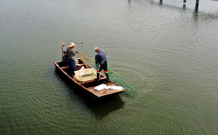 水產(chǎn)養(yǎng)殖降溫勢(shì)在必行