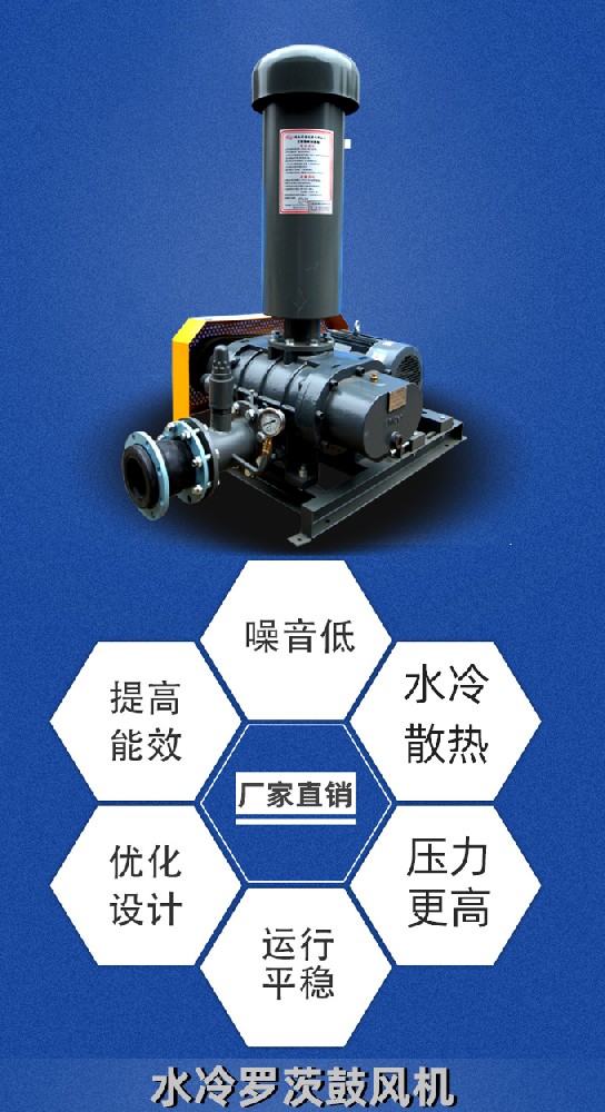 水冷羅茨鼓風(fēng)機