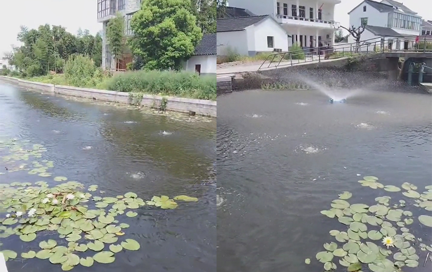 水下羅茨鼓風機——水生植物栽培的上乘選擇